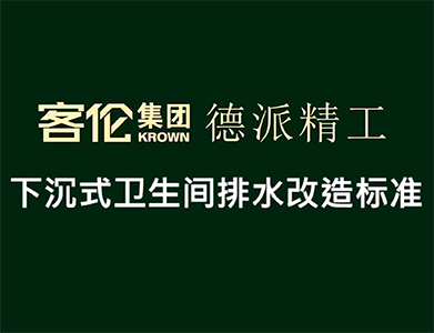 水电阶段-下沉式卫生间排水改造标准